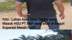 Polemik Tanah Kas Desa Sungai Ilai, Pemdes Pertanyakan Masuknya Lahan Bersertifikat ke Dalam HGU PT. BKP